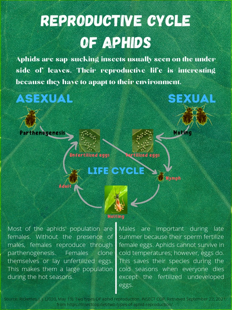 Sexual and Asexual Reproduction of Aphids PDF