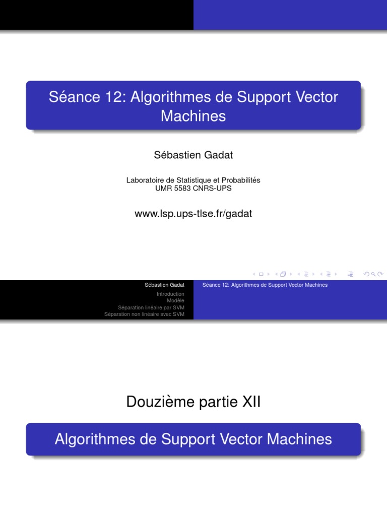 12 m2 SVM | PDF | Mathématiques appliqués | Algorithmes et structures ...