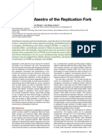 Pcna, The Maestro of The Replication Fork2007