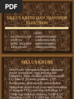 Download SIKLUS KREBS DAN TRANSPOR ELEKTRON by Mutmainnah Dhr SN52826622 doc pdf