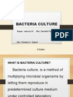 Bacteria Culture Pres 2