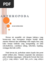 Download ARTHROPODA by Lisa Aprilia Aprisa SN52827807 doc pdf
