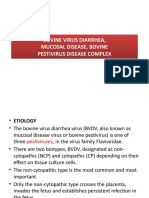 Bovine Virus Diarrhea, Mucosal Disease, Bovine Pestivirus Disease Complex