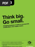 Think Big Go Small