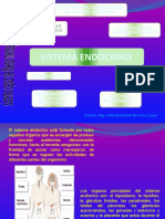 Sistema Endocrino PPT