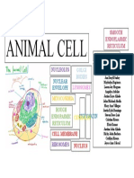 Science Cell