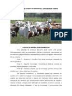 Produção de bovinos de corte e cruzamentos para melhor desempenho