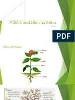 Plants and Their Systems
