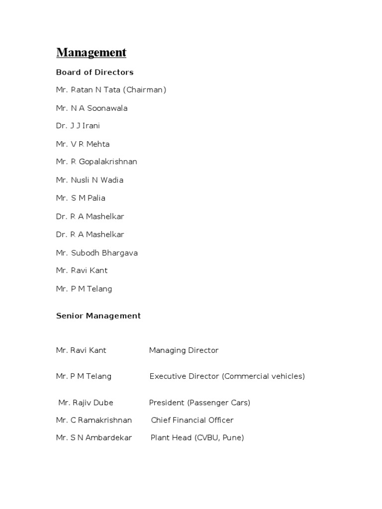 Company Management Team Overview | PDF