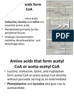 Amino acid metabolism 2