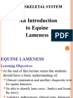 17. Musculoskeletal System lameness dx Oct  2018 lecture