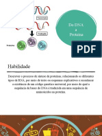 2° Ano - Biologia 6