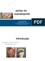 Lesão supraespinal pdf