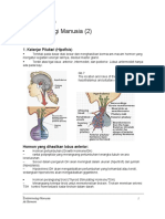 Endokrinologi Manusia - 2