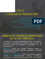 Proteccion Al Connsumidor Inmobiliario