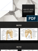Shoulder Anatomy
