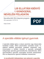 A Speciális Ellátási Igényű Gyermek Gondozási, Nevelési Feladatai