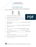 Regular and Irregular Nouns Pp