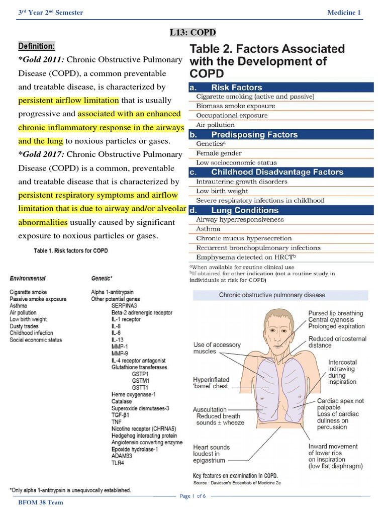 Gold 2011: Chronic Obstructive Pulmonary: L13: COPD Definition | PDF ...