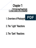 Photosynthesis Explained