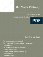 Lesions of The Motor Pathway