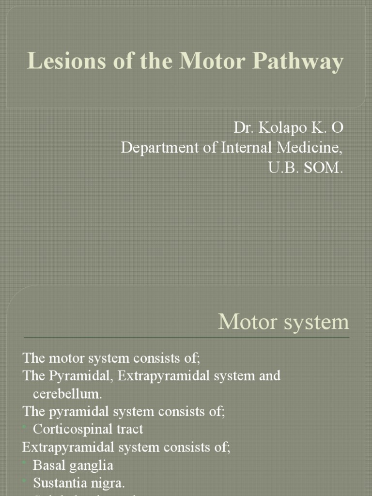 Motor System Disorders: A Comprehensive Review of Lesions Along the ...