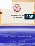 Obra Felicidade Clandestina 9oano Andre Araujo