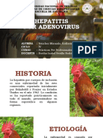 Hepatitis Por Adenovirus