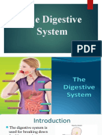 The Digestive System