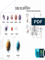 Sistema Inmune en Anfibios