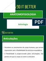 Sistema Articular