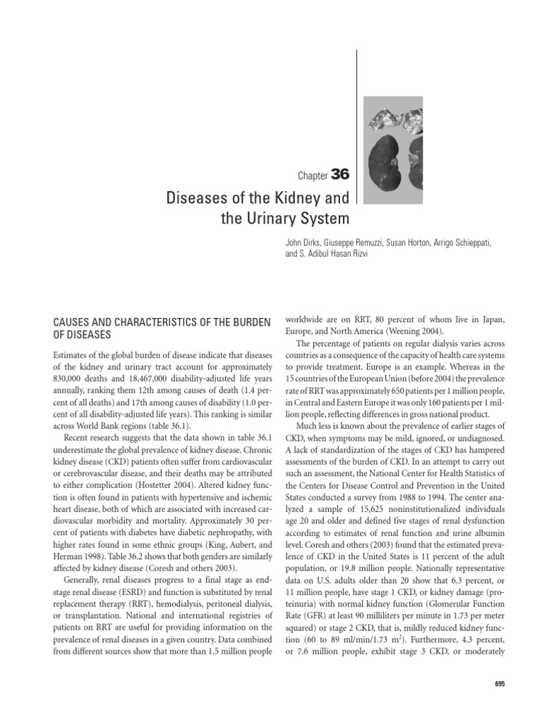 Global Burden of Kidney Diseases | PDF | Chronic Kidney Disease ...