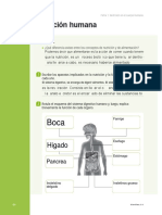 Práctica Sobre El Sistema Digestivo