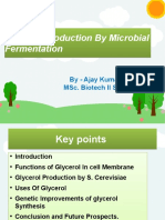 Glycerol Production by Ajay Ok