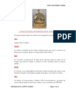 Constitucion de Energías en El Ser Humano - : Ifase Awoegbemi Araba