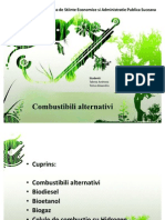 Combustibili Alternativi Final Powerpoint