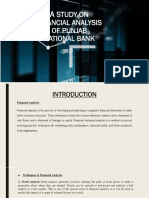 Presentation Financial Analysis PNB