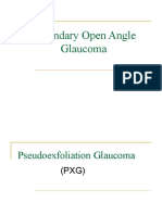 5 Secondary Open Angle Glaucomas