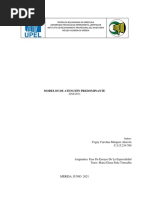 Ensayo MODELOS DE ATENCIÓN PREDOMINANTE Yegny Marquez