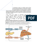 Regulación de La Glucosa