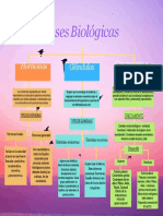 Bases Biologicas