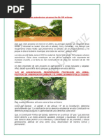 Geografia LIDER