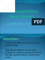 Sensory and Motor Nerve Endings