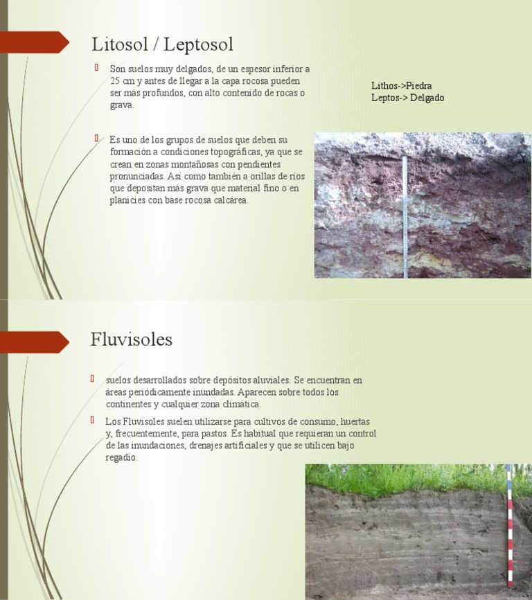 Características de Litosoles y Leptosoles | PDF