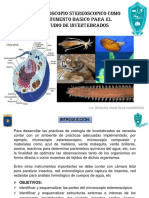 Microscopio estereoscópico para estudio de invertebrados