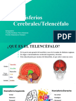 Hemisferios cerebrales telencéfalo
