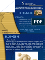 Exposición Del Jengibre