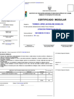 Certi. Modul. I Enfermeria 2010