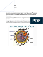 Características y tipos de Virus y Bacterias