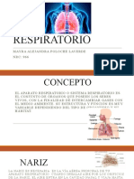 Sistema Respiratorio y Renal